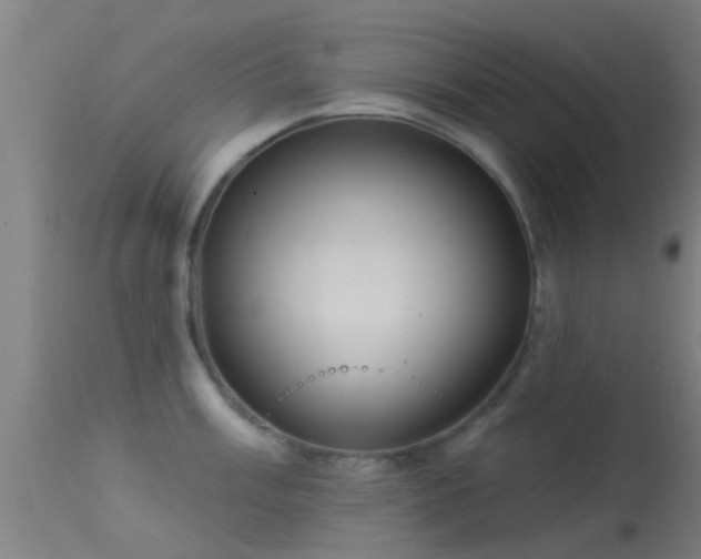 X0000114181003200910151655