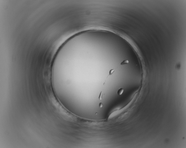 X0000114181004200910151655