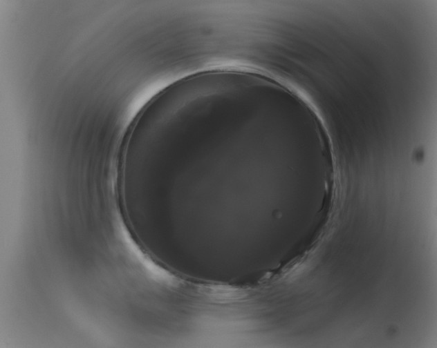 X0000114181007200910151655