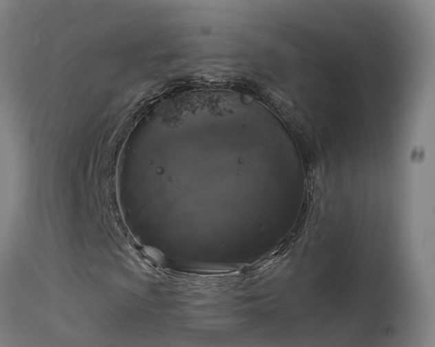 X0000114181009200910151655