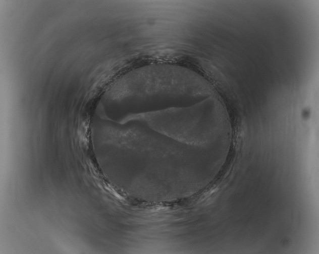 X0000114181010200910151655