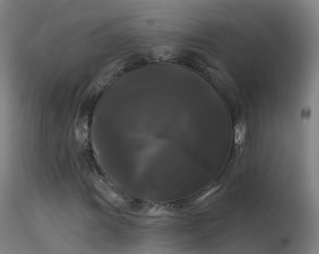 X0000114181011200910151655