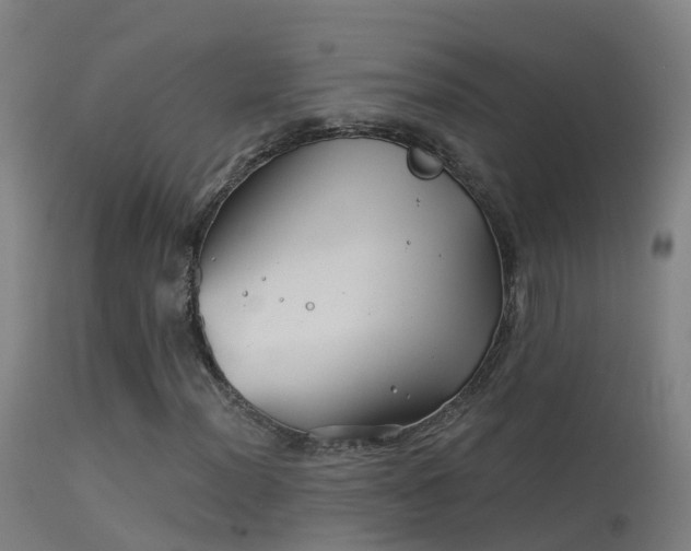 X0000114181012200910151655