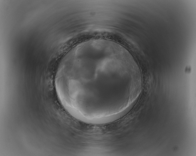 X0000114181013200910151655