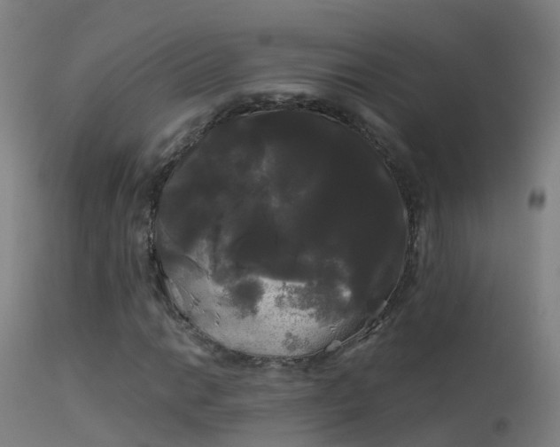 X0000114181014200910151655
