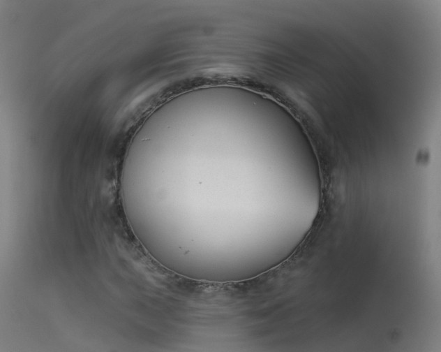 X0000114181015200910151655