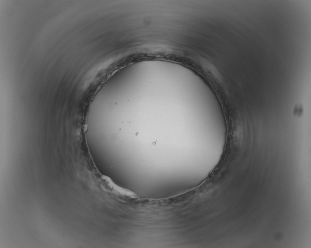 X0000114181016200910151655