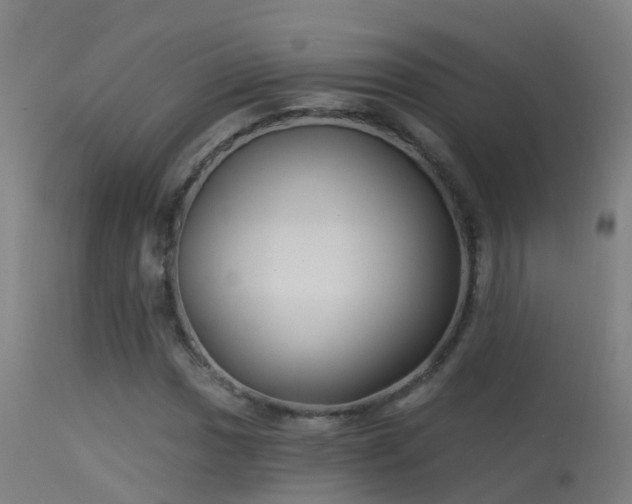 X0000114181017200910151655