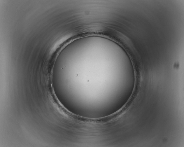 X0000114181018200910151655