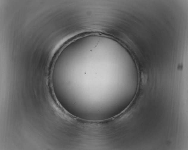 X0000114181020200910151655