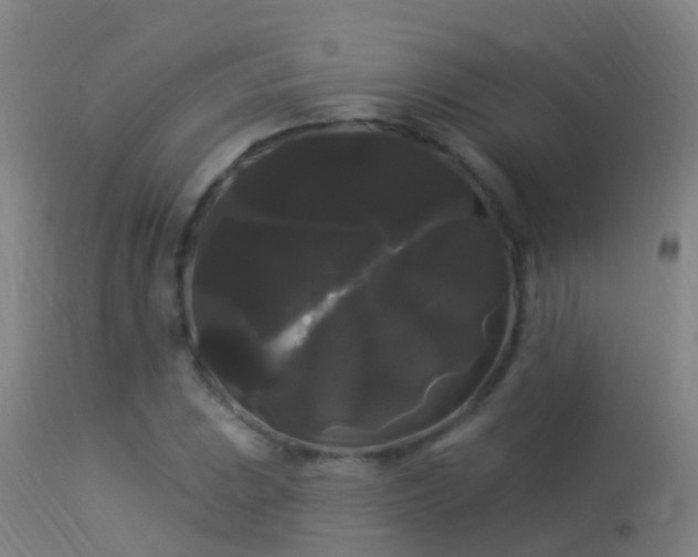 X0000114181023200910151655
