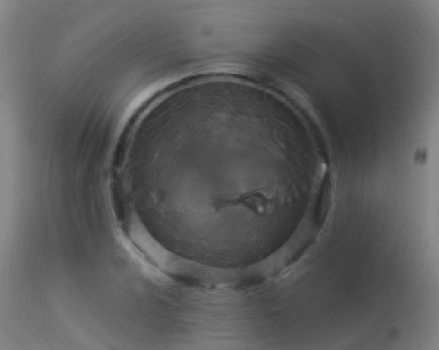X0000114181024200910151655