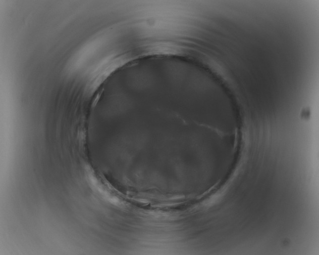 X0000114181025200910151655