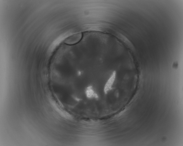 X0000114181027200910151655