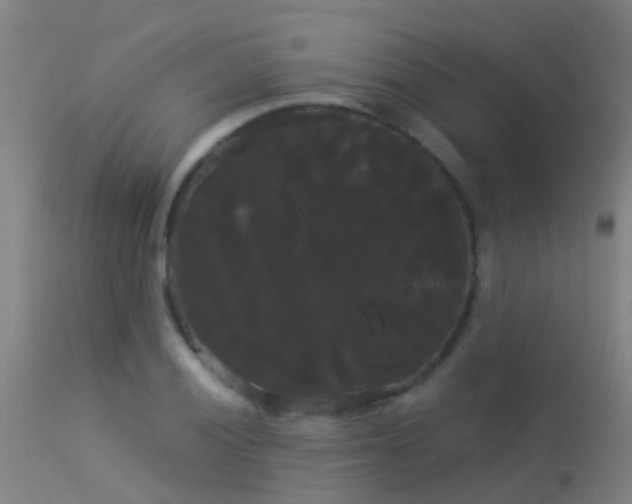 X0000114181028200910151655
