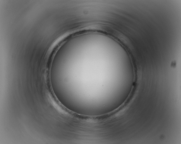 X0000114181029200910151655