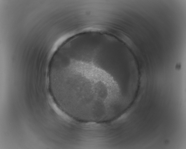 X0000114181030200910151655