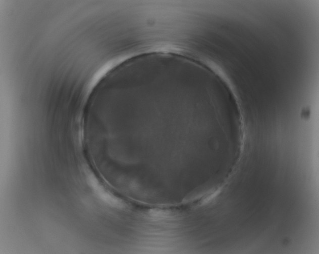 X0000114181032200910151655