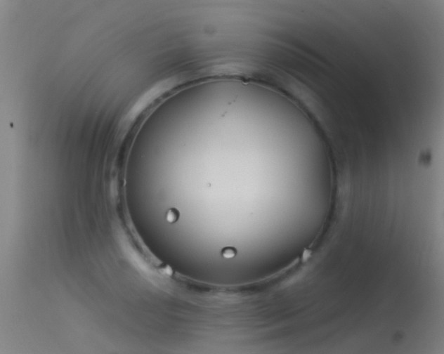 X0000114181034200910151655