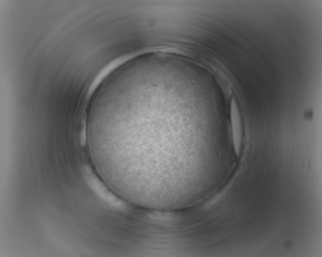 X0000114181036200910151655