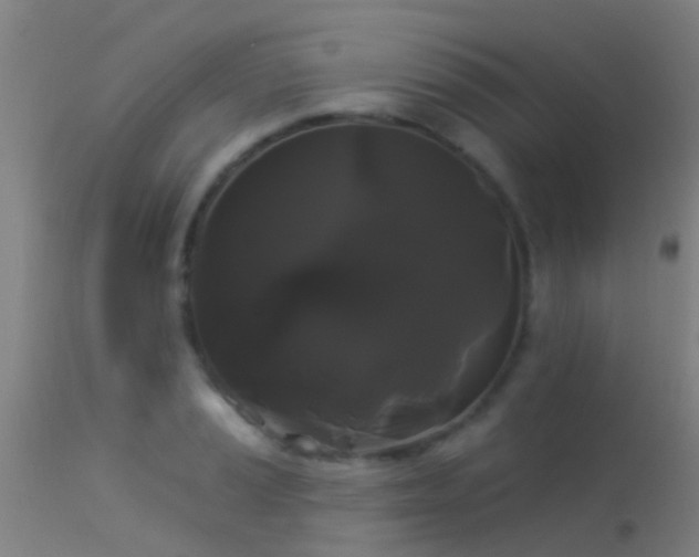 X0000114181037200910151655