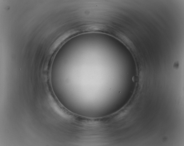 X0000114181039200910151655