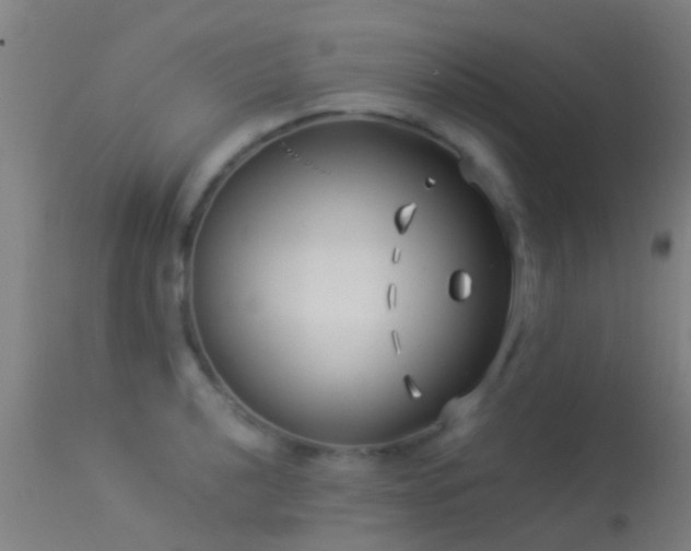 X0000114181040200910151655