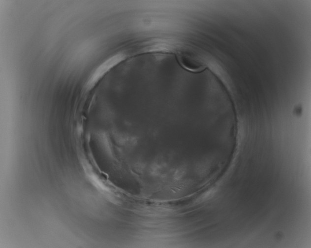 X0000114181042200910151655