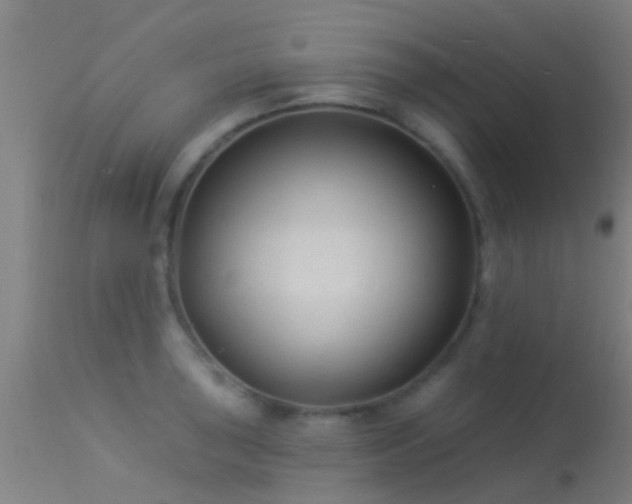 X0000114181043200910151655