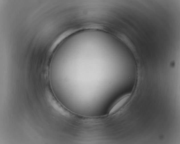 X0000114181044200910151655