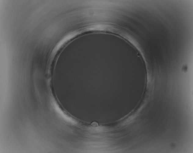 X0000114181045200910151655