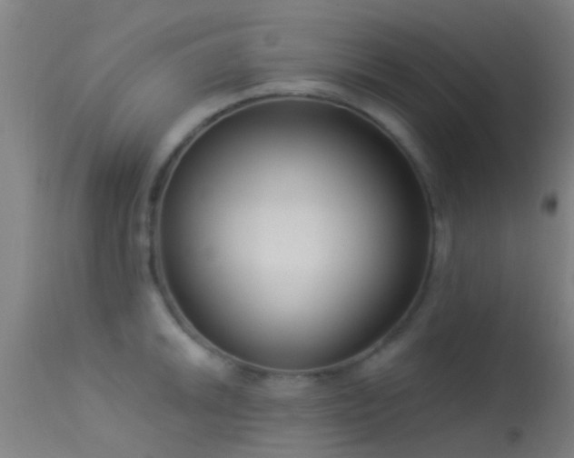 X0000114181046200910151655