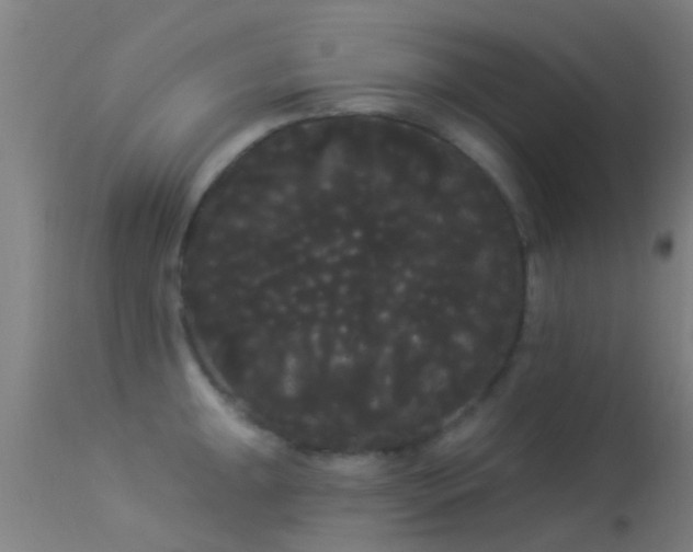X0000114181047200910151655