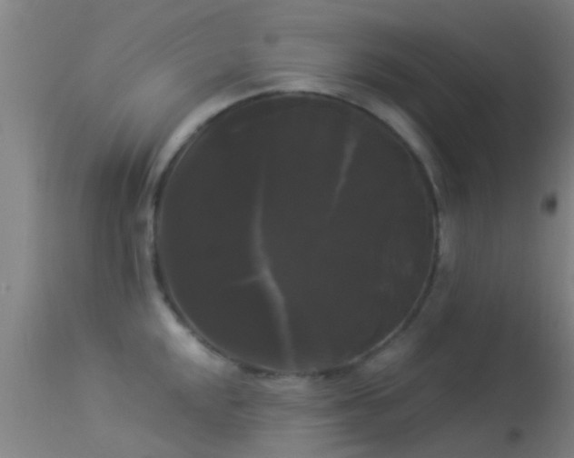 X0000114181048200910151655