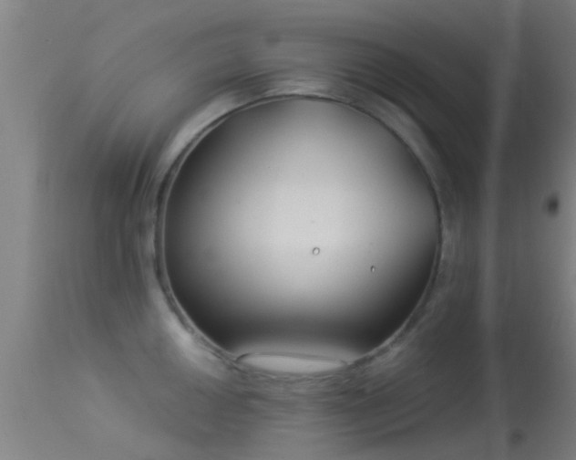 X0000114181050200910151655