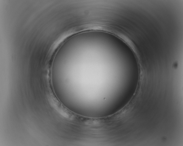 X0000114181051200910151655