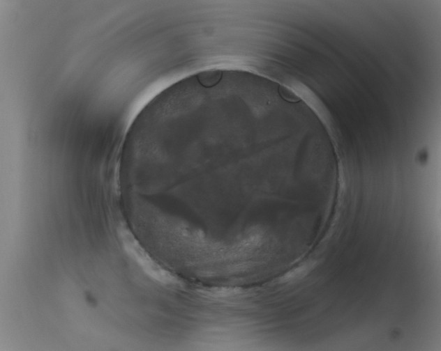 X0000114181052200910151655