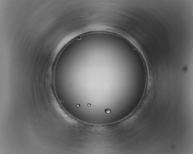 X0000114181053200910151655