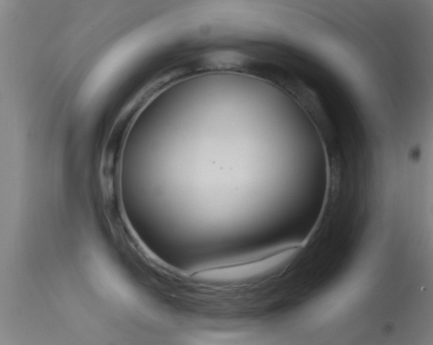 X0000114181054200910151655