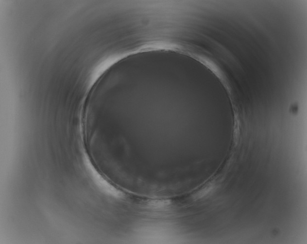 X0000114181055200910151655