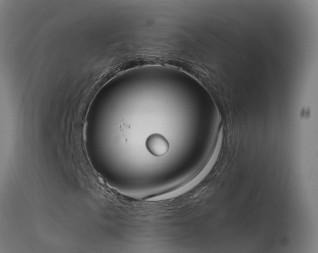 X0000114181057200910151655