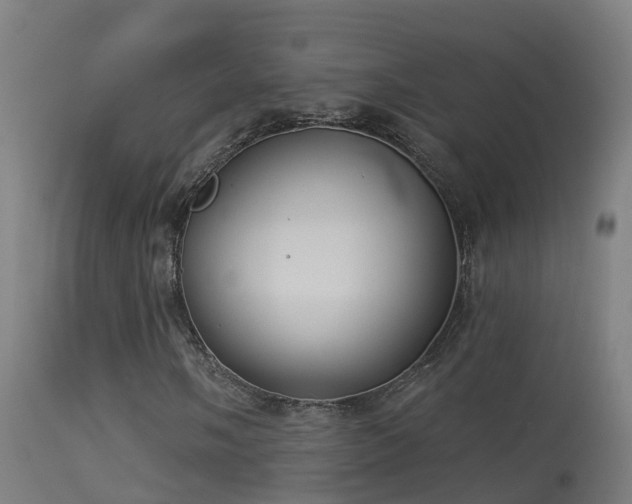 X0000114181058200910151655
