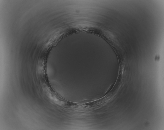 X0000114181060200910151655