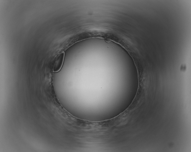 X0000114181061200910151655