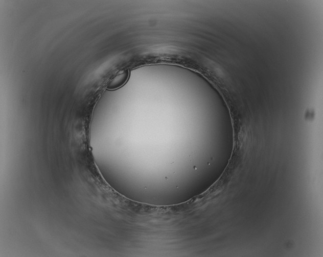 X0000114181062200910151655