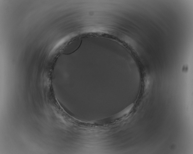 X0000114181064200910151655