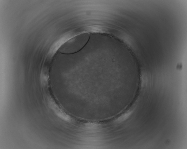 X0000114181065200910151655