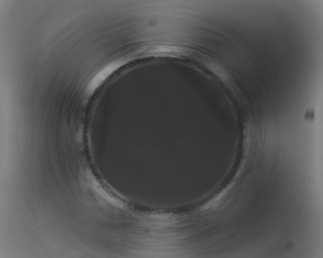X0000114181066200910151655
