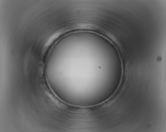X0000114181067200910151655