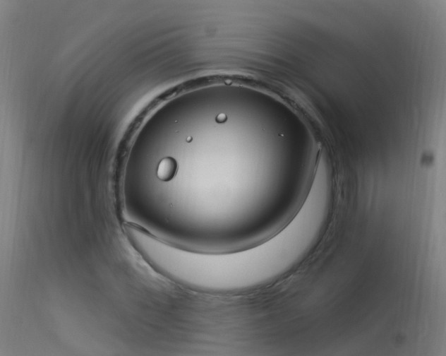 X0000114181068200910151655
